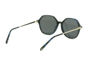 Lunettes de soleil Rip Curl FSA 068 04 Biais arriere