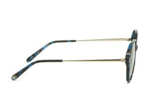 Lunettes de soleil Rip Curl FSA 068 04 Branches