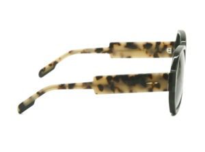 Lunettes de soleil Paname La Courneuve C3 vue de Branches, chez Optique Place des Fêtes Opticien à Paris 19