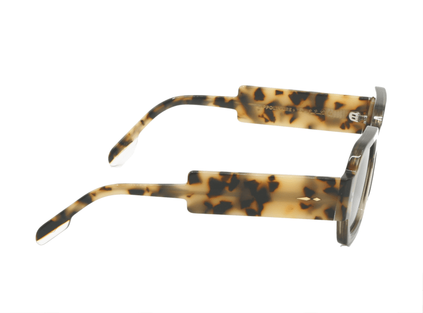 Lunettes de soleil Paname Appolinaire Ecaille et fumé C4 Vue branches